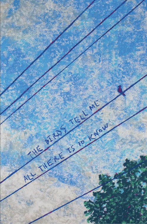 The Birds Tell Me All There Is to Know постер