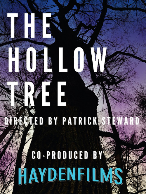 The Hollow Tree постер