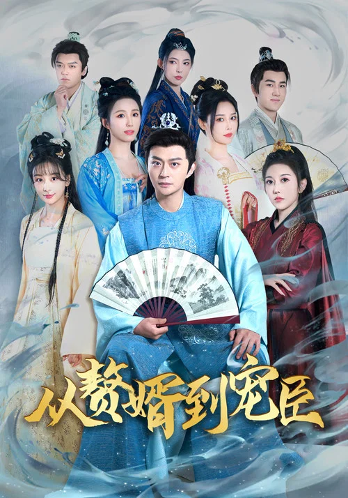 从赘婿到宠臣 постер