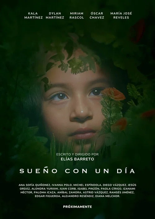 Sueño con un día постер