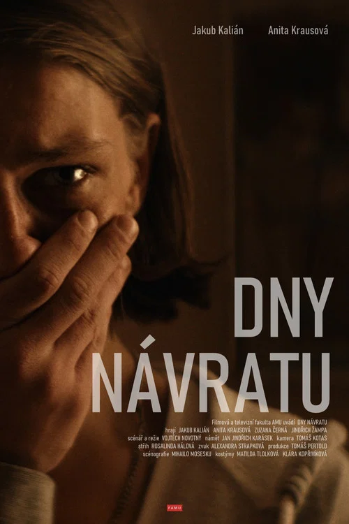 Dny návratu постер