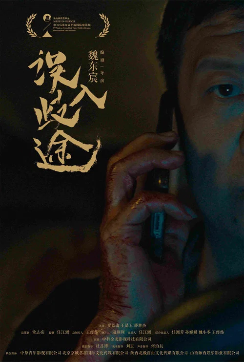误入歧途 постер