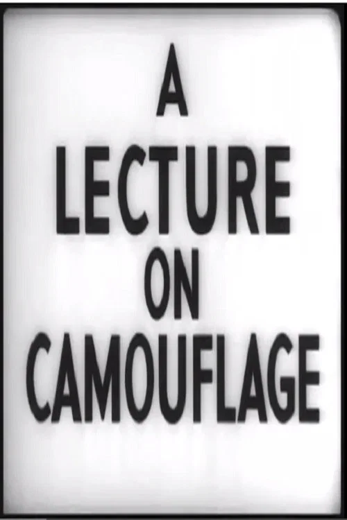 A Lecture on Camouflage постер
