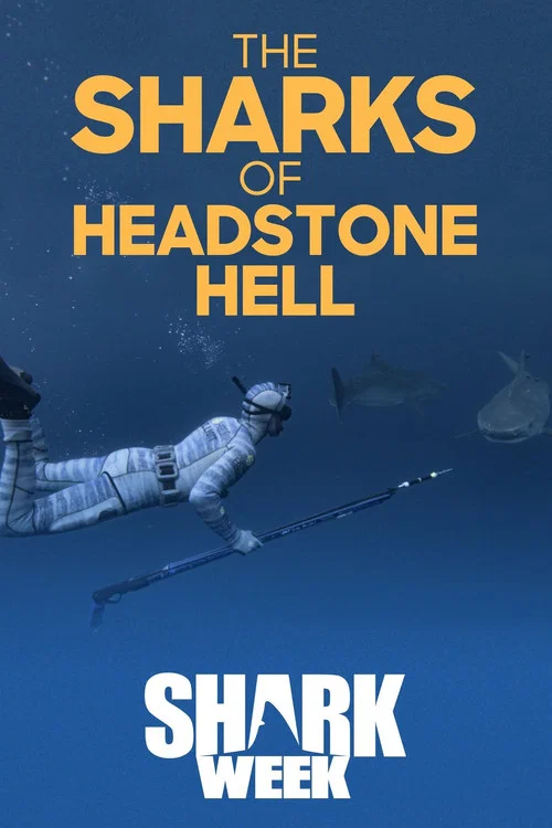 The Sharks Of Headstone Hell постер