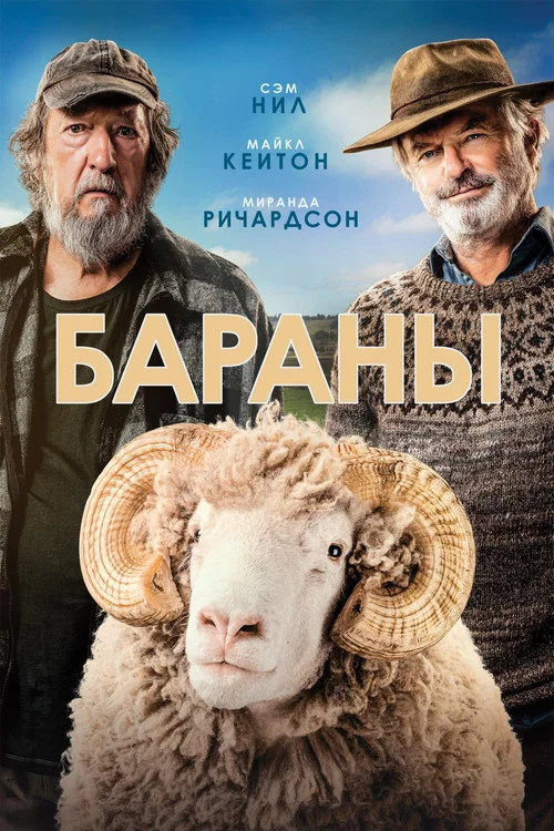 Бараны постер