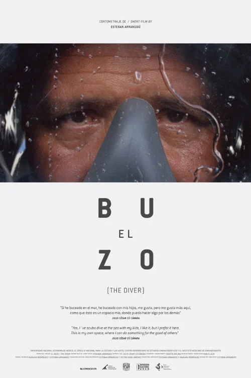 El buzo постер