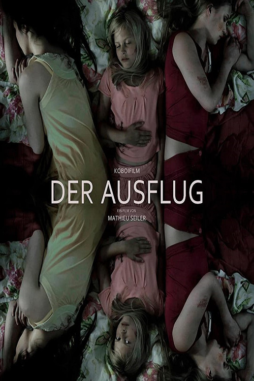 Der Ausflug постер