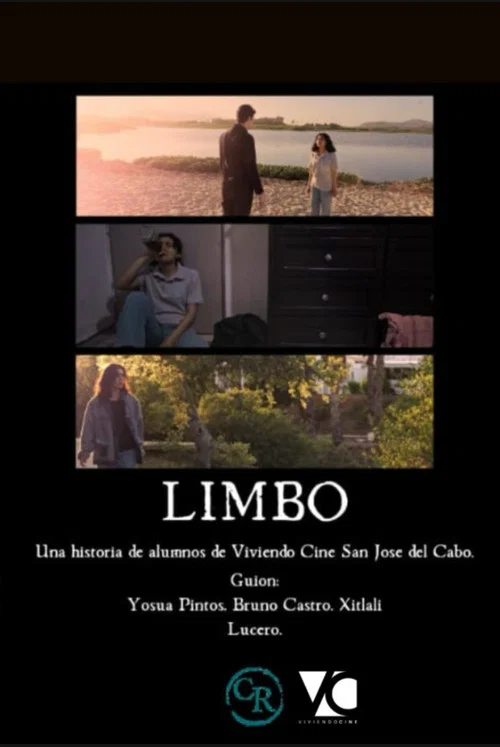 Limbo постер