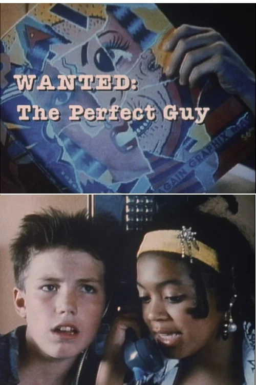 Wanted: The Perfect Guy постер