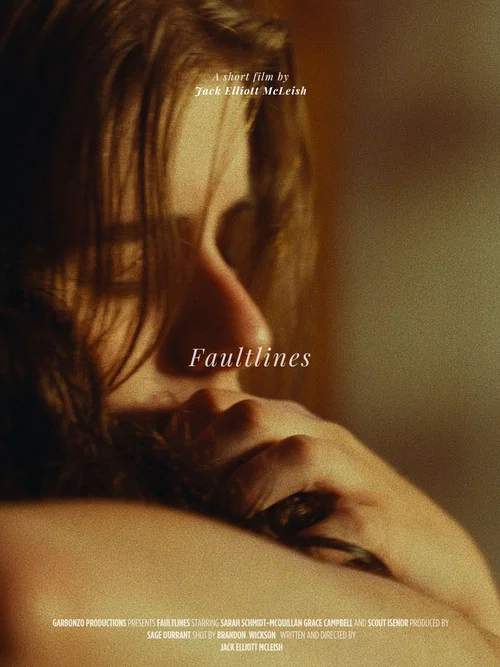 FAULTLINES постер
