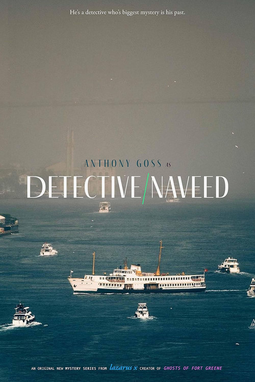 Detective Naveed постер