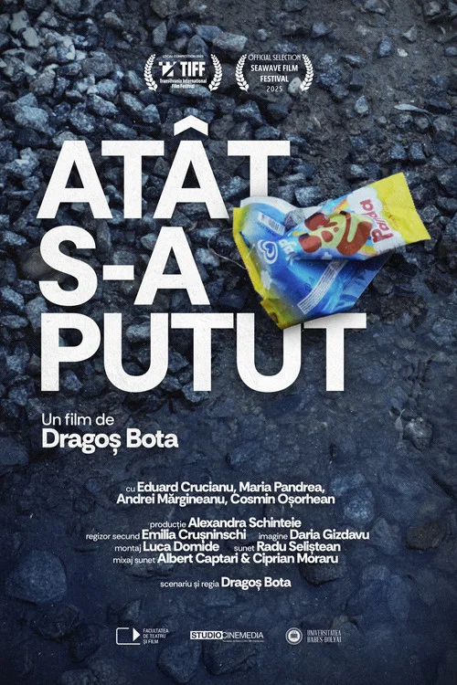 Atât s-a putut постер