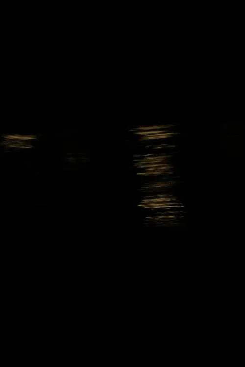 Donaukanalwalzer постер
