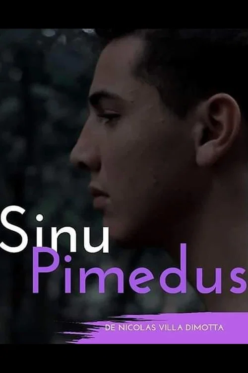 Sinu Pimedus постер