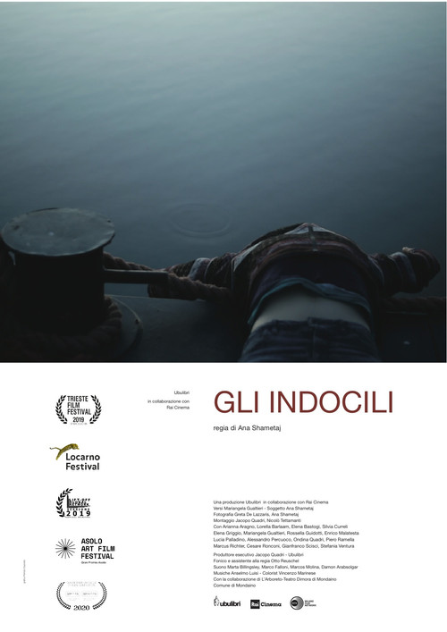 Gli indocili постер