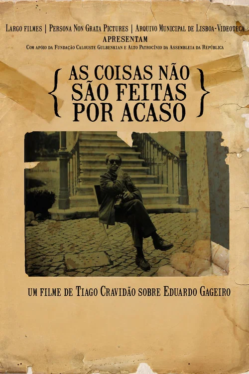 As coisas não são feitas por acaso постер