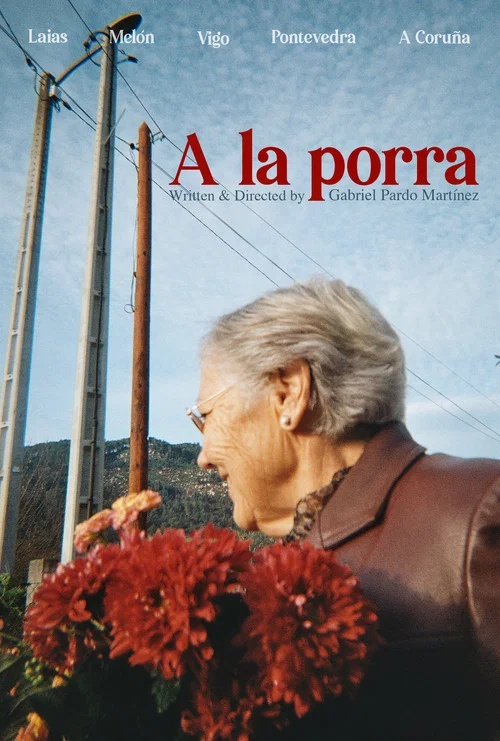 A la porra постер