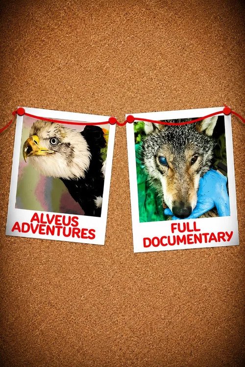 Alveus Adventures постер