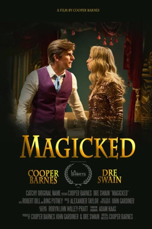 Magicked постер