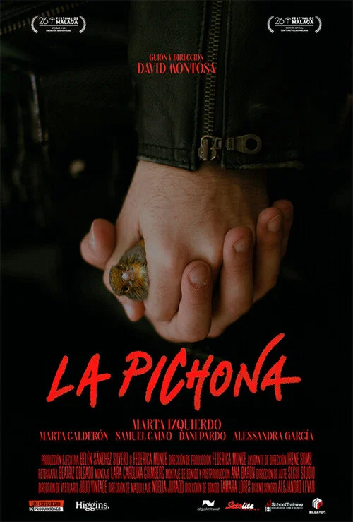 La Pichona постер