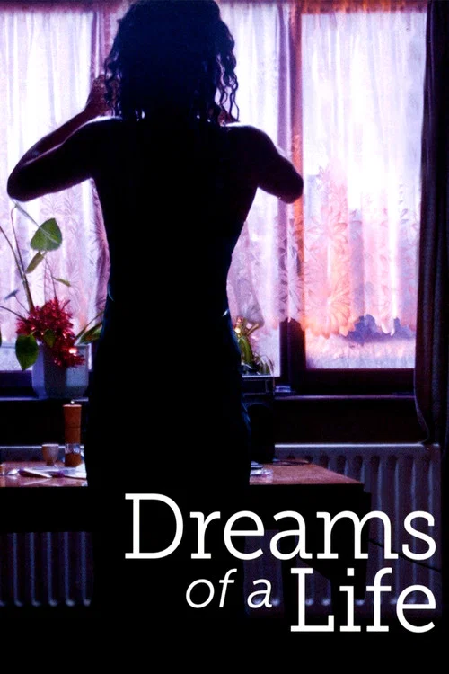 Dreams of a Life постер