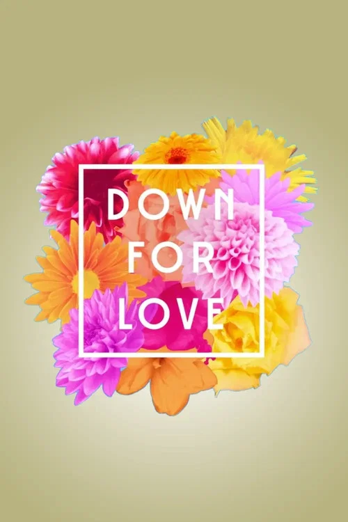 Down for Love постер