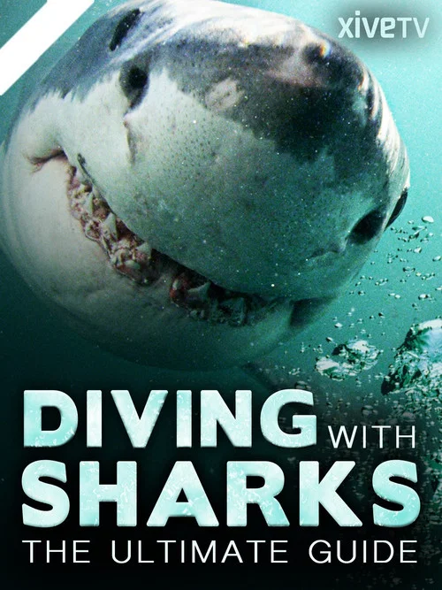 Diving with Sharks: The Ultimate Guide постер