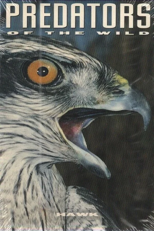 Predators of the Wild: Hawk постер