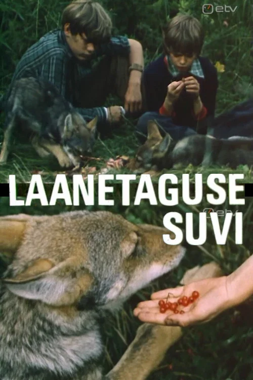 Laanetaguse suvi постер
