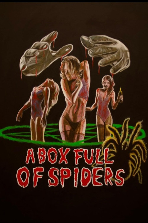 A Box Full of Spiders постер