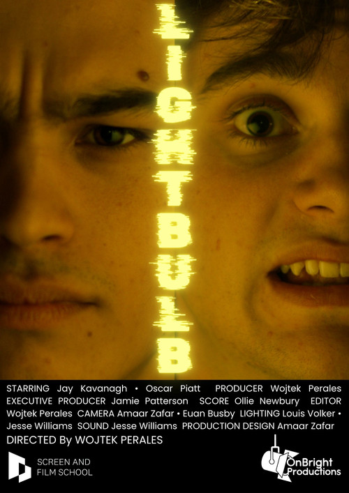 Lightbulb постер
