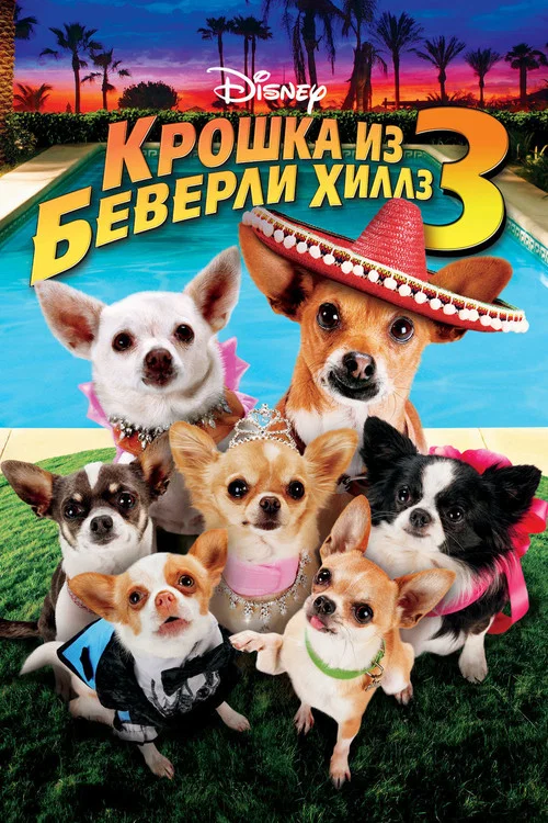 Крошка из Беверли-Хиллз 3 постер