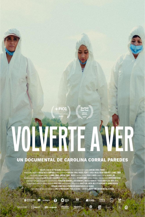 Volverte a ver постер