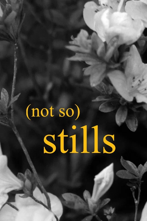 (not so) Stills. постер