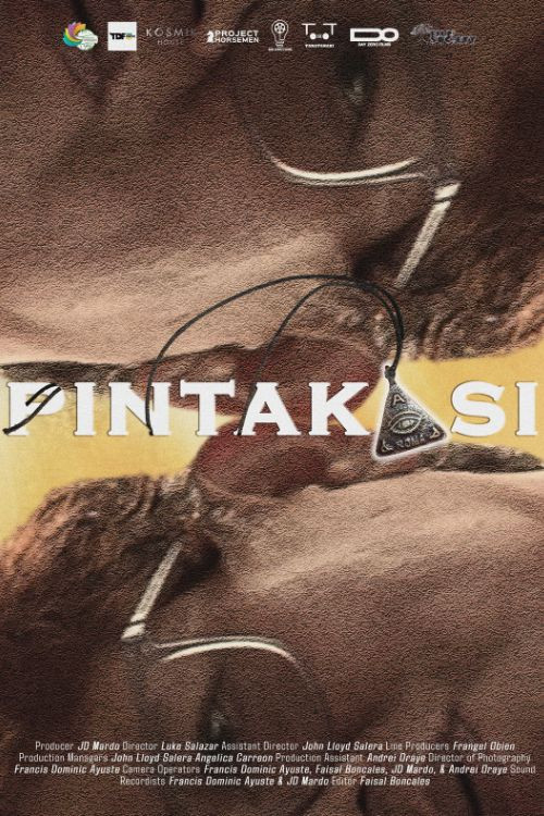 Pintakasi постер