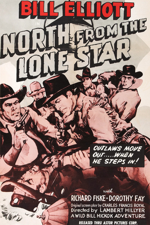 North from the Lone Star постер