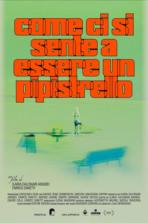 Come ci si sente a essere un pipistrello постер