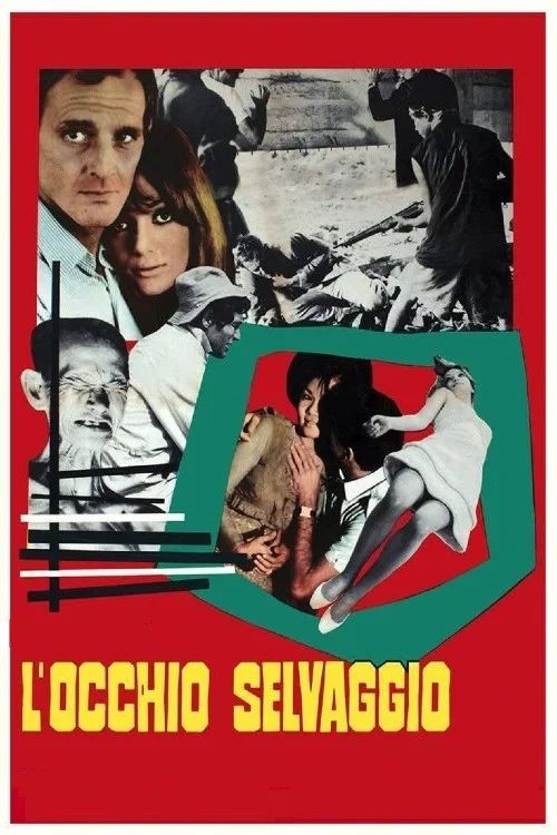 L'occhio selvaggio постер