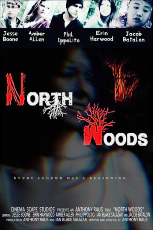 North Woods постер