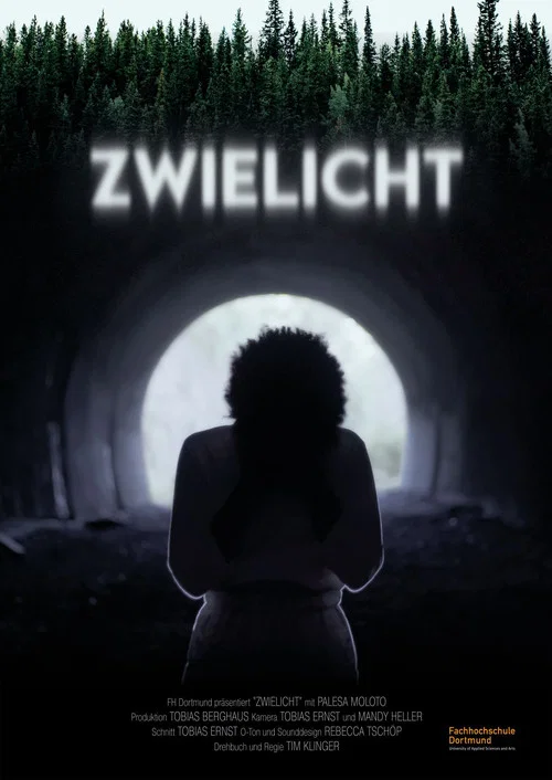 Zwielicht постер