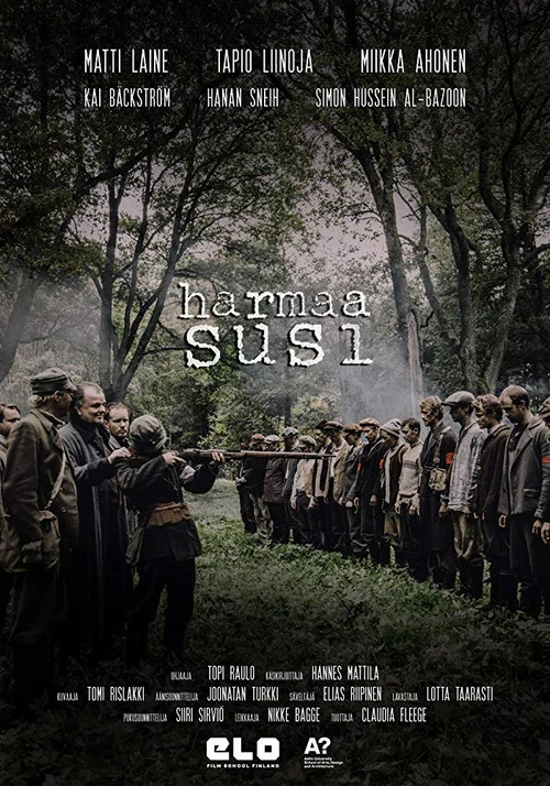 Harmaa Susi постер