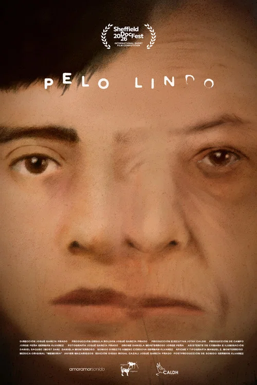 Pelo Lindo постер