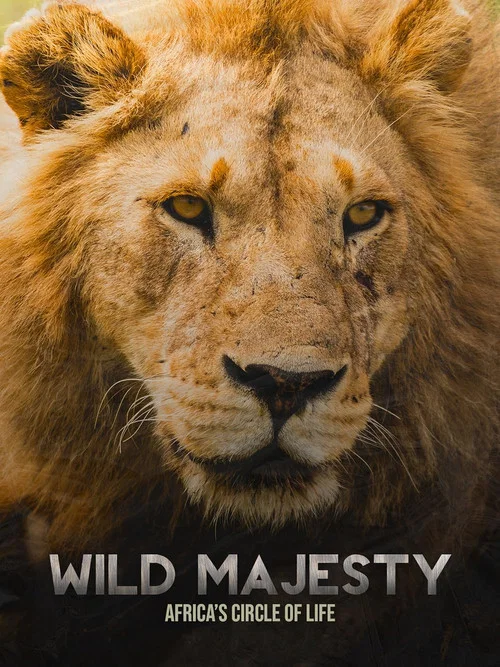 Wild Majesty: Africa's Circle of Life постер