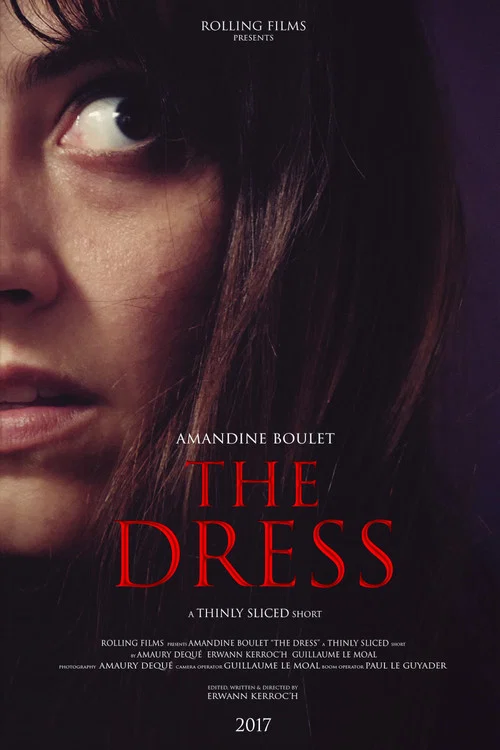 The Dress постер