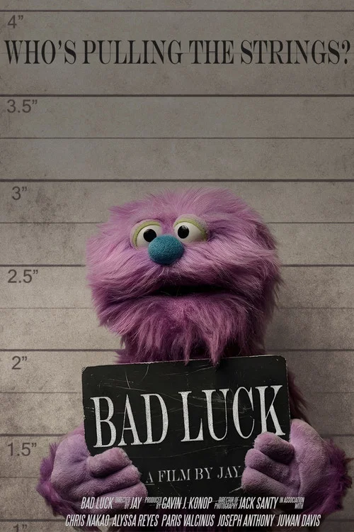 Bad Luck постер