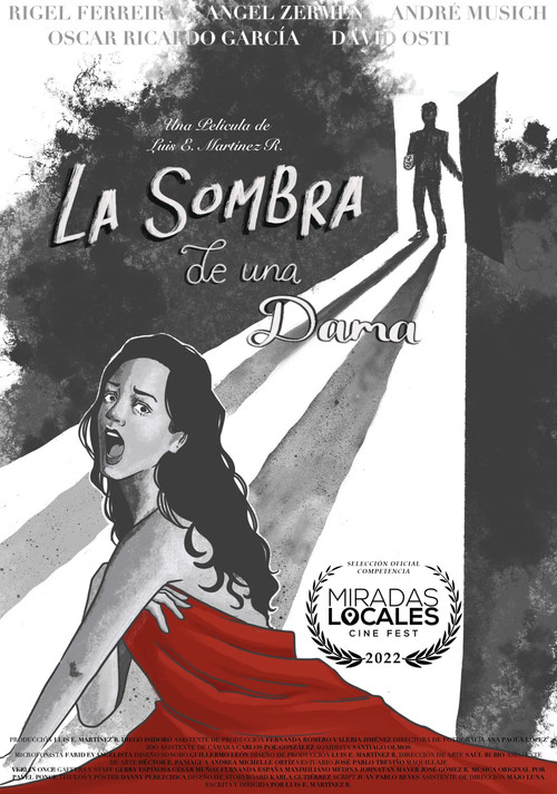 La Sombra de una Dama постер