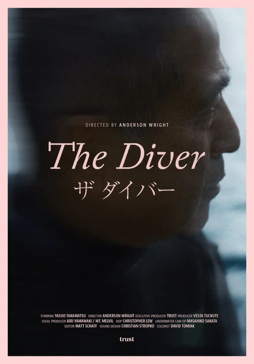 The Diver постер