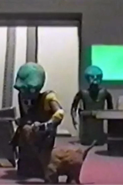 Intruder постер