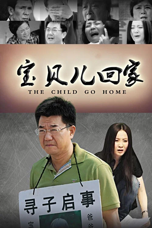 宝贝儿回家 постер