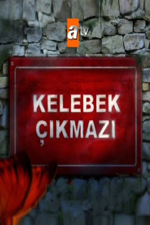 Kelebek Çıkmazı постер
